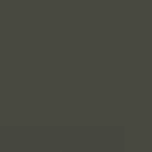 Smooth Anthracite window finish swatch